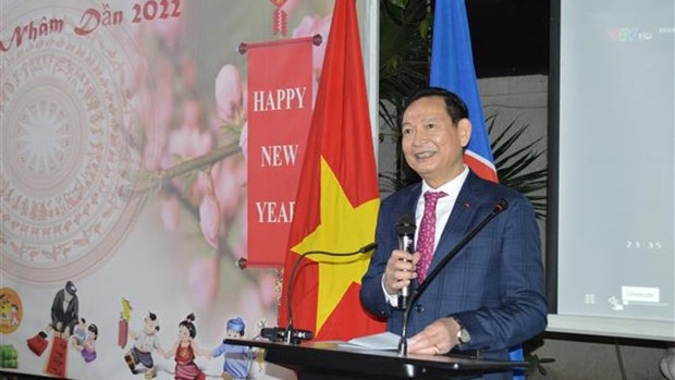 Vietnamese people in Egypt, Russia celebrate Lunar New Year